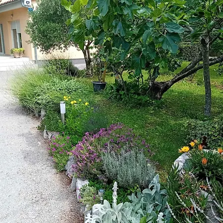 In 5170 * Grižane